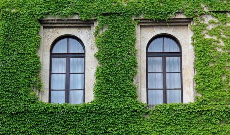 Арочные окна. Фото и варианты оформления