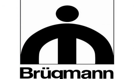 Окна Брюгман