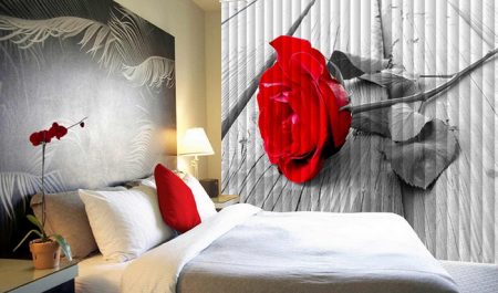 Жалюзи с фотопечатью. Вертикальные, горизонтальные, рулонные